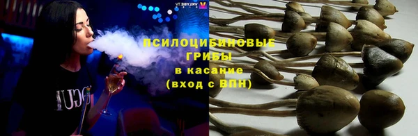 герыч Бронницы
